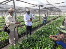 CEO PTPN V Jatmiko K. Santosa bersama para pekerja proyek KSO bibitan Kelapa Sawit antara PTPN V dengan PPKS Medan, di Dumai, Riau, baru-baru ini. (Foto: Istimewa)
