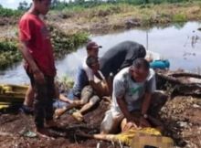 Korban operator dan Kernet alat berat