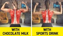 Studi Menemukan Jika Susu Cokelat Lebih Efektif Dibandingkan Minuman Olahraga Lainnya 