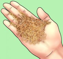 Wajib Tahu, Inilah yang Dipakai Oleh Manusia Sebelum Kertas Toilet Ditemukan