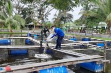 PT PJB UBJOM Luar Jawa 2 PLTU Tembilahan Salurkan CSR 4 Ribu Benih Lele (foto/int)