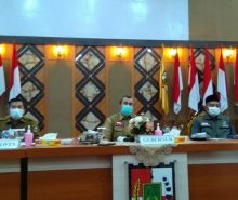 Gubernur Riau Syamsuar