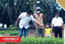 Husni Tamrin berbincang dengan petani sawit