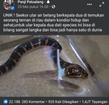 Tangkapan Layar 