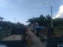 Antrean panjang seperti ular di sei selari Pakning