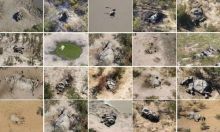 Pemerintah Ungkap Cyanobacteria Jadi Penyebab Kematian Misterius Para Gajah di Botswana 