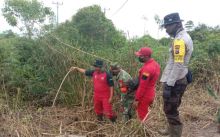 Bhabinkamtibmas Desa Pangkalan Terap Teluk Meranti bersama TNI dan Manggala Agni Patroli Bersama Antisipasi Karhutla 