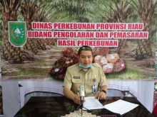 Kabid Pengolahan dan Pemasaran Dinas Perkebunan Riau, Defris Hatmaja