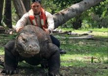 Sifat Komodo Tidak Mau Pindah Dari Pulau Tempat Tinggalnya, Netizen: Jangan Diganggu Gugat (foto/int)