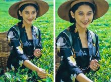 Potret Nike Ardilla Sedang Petik Teh, Netizen: Sangat Natural Menyatu Dengan Alam (foto/int)
