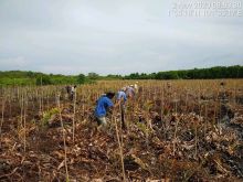 Program RHL melalui KBD yang dilakukan dengan konsep pemberdayaan masyarakat. Foto: Ist