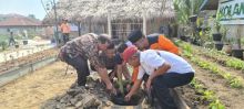 Plt Sekko bersama Ketua SantanNU melakukan penanaman bunga