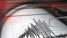 Gempa Berkekuatan 5,3 Magnitudo Guncang Maluku, BMKG: Tidak Berpotensi Tsunami (foto/int)