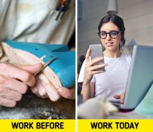 Mengenal Lebih Jauh Tentang Generasi Alpukat 