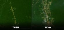 Deforestasi Hutan Hujan Amazon Akhirnya Melonjak ke Angka Tertinggi Selama 12 Tahun