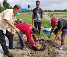 Wagubri Edi Natar menanam Tabebuya di Pusdiklat APPI