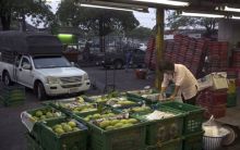 Thailand Melonggarkan Pembatasan Perjalanan Bagi Wisatawan Bagi 50 Negara (Foto : Lifesyle - Bisnis)