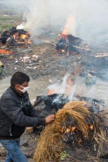 Kemarahan di Sri Lanka Atas Kremasi Korban COVID-19 yang Beragama Muslim (Foto : Deposit)