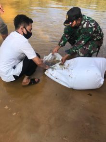 Suasana pelepasan benih ikan baung ke Sungai Nilo. Sebanyak 3.000 benih ikan baung dilepas di Sungai Nilo, Desa Lubuk Kembang Bunga, Kecamatan Ukui, Kabupaten Pelalawan (foto/ist) 