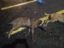 Foto : EveryDayOnSales.com