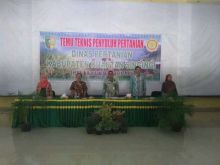 Petani Benai, Kembali Tanam Dua Kali di Areal 297 Hektare (foto/zar) 