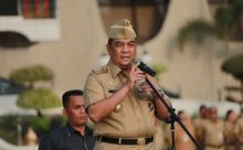 Wakil Gubernur Riau, Edy Natar Nasution