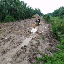 Kondisi jalan poros di kecamatan Siak Kecil, yang tidak pernah tersentuh pembangunan di Kab. Bengkalis