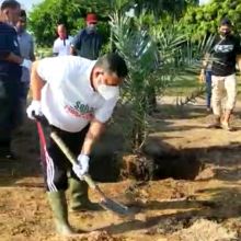 Wakil Gubernur Riau menanam bibit kurma di Pusdiklat APPI