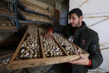 Foto : Ethnical Editor