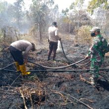 Karhutla di Bengkalis