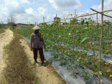 Polsek pangkalan Kerinci Tinjau Kampung Tangguh 