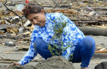 Susi Pudjiastuti tanam pohon di pinggir pantai. Foto: Twitter/ @susipudjiastuti