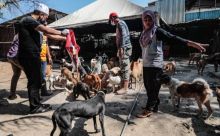 Ustadz Ebit Liew Rawat Ratusan Kucing dan Anjing Terlantar, Netizen Langsung Terharu (foto/int) 