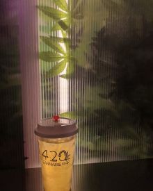 Foto : Coconut Bangkok