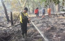 Pelalawan Mulai Berkabut, Karhutla Masih Terjadi di Teluk Meranti (foto/Ardi) 