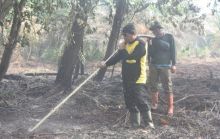 Abu Bakar: Insya Allah Hari Ini Karhutla di Pulau Muda Bisa Dipadamkan (foto/Ardi) 