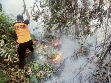 Kebakaran hutan dan lahan di Kabupaten Bengkalis