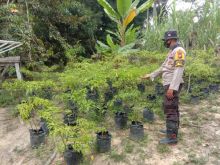 Polsek Langgam Kerahkan Personel, Tinjau Program ‘Kampung Tangguh’