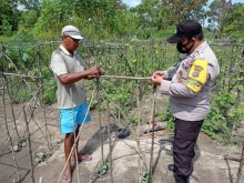 Polsek Langgam Kerahkan Personel, Tinjau Program ‘Kampung Tangguh’