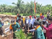 Wabup Bengkalis Bagus Santoso saat penanaman bibit sawit