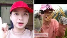 Viral Gadis Dayak Kalimantan Panen Padi di Pegunungan, Netizen Sebut Begini (foto/int) 