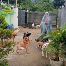 Hesti Sutrisno [Instagram/@hestisutrisno]