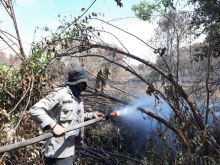 Petugas tim pemadaman Karhutla