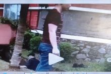 Video seorang pria yang bunuh kucing sedang menyusui, viral di sosmed. Foto/Tangkapan layar IG.