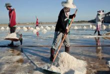 Petani garam. Foto: Internet