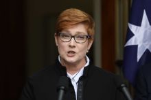 google (Marise Payne)