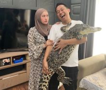 Bawa Buaya ke Rumah, Istri Denny Cagur: Satu Aja Bikin Puyeng, Apalagi Nambah (foto/int) 