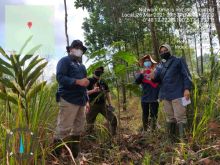Salah satu kawasan RHL yang ditinjau tim dari BPDASHL Indragiri Rokan. Foto: ist