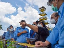 Menteri LHK, Siti Nurbaya meninjau kesiapan lahan dalam perspektif LHK di areal  calon Ibukota Negara (IKN) di Kalimantan Timur. Foto: ist