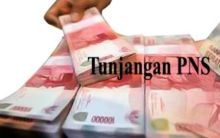 Begini Besaran TPP Pejabat Pemkab Pelalawan Tahun 2021 (foto/Ardi) 